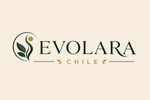 Evolara – Inicio